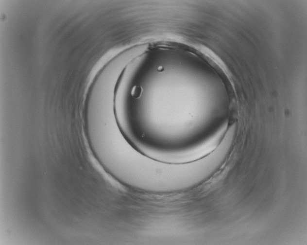 X0000071951005200607282003