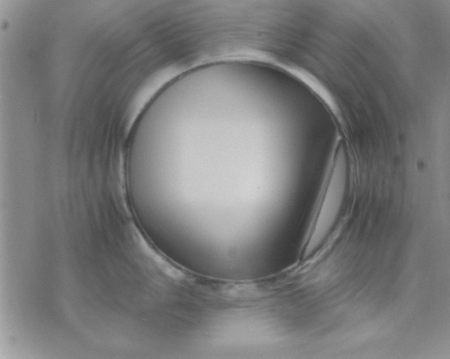 X0000071951006200607282003