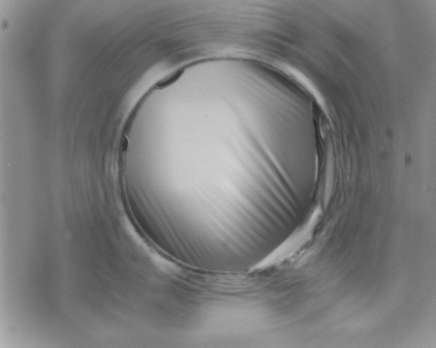 X0000071951007200607282003