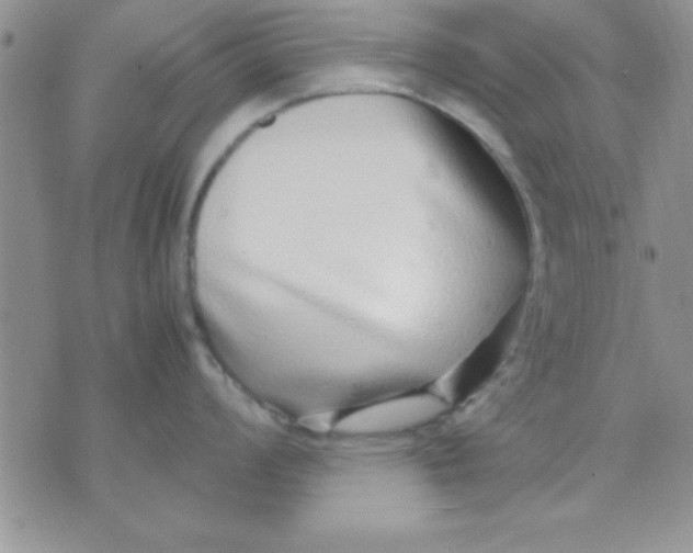 X0000071951008200607282003