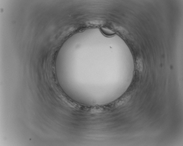 X0000071951009200607282003