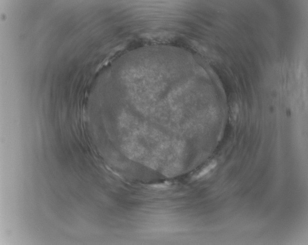 X0000071951010200607282003