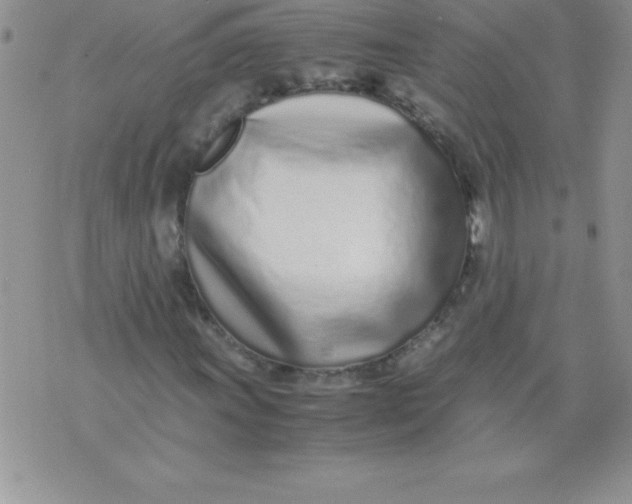 X0000071951011200607282003