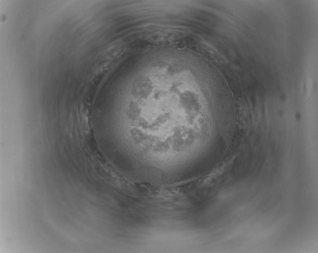 X0000071951013200607282003