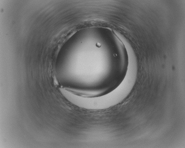 X0000071951014200607282003