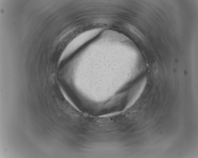 X0000071951015200607282003