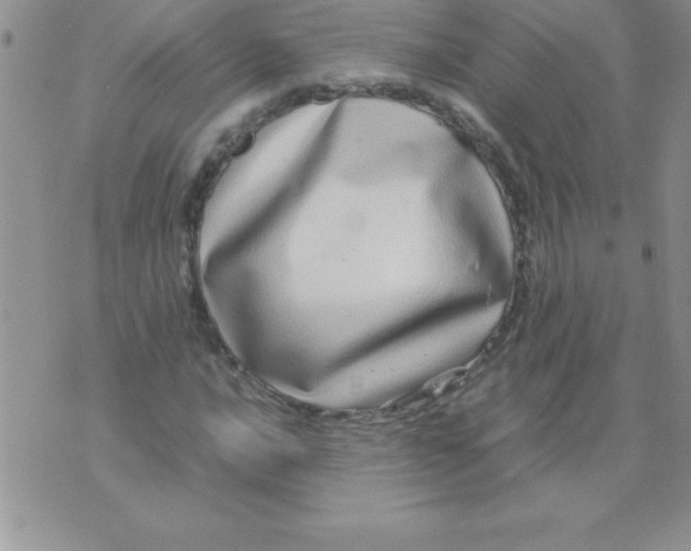 X0000071951016200607282003