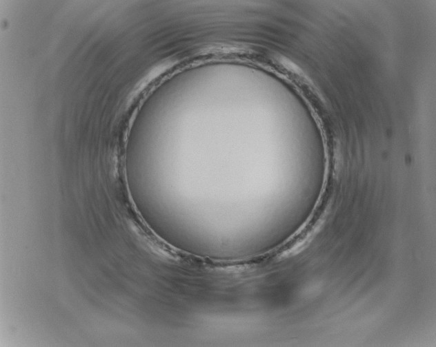 X0000071951017200607282003