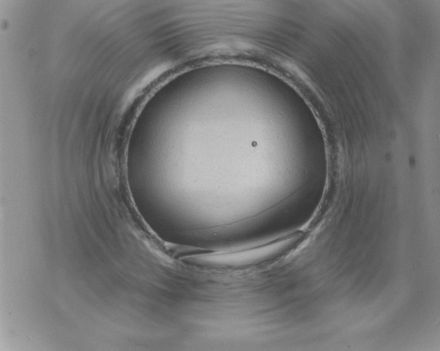 X0000071951018200607282003