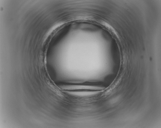 X0000071951019200607282003