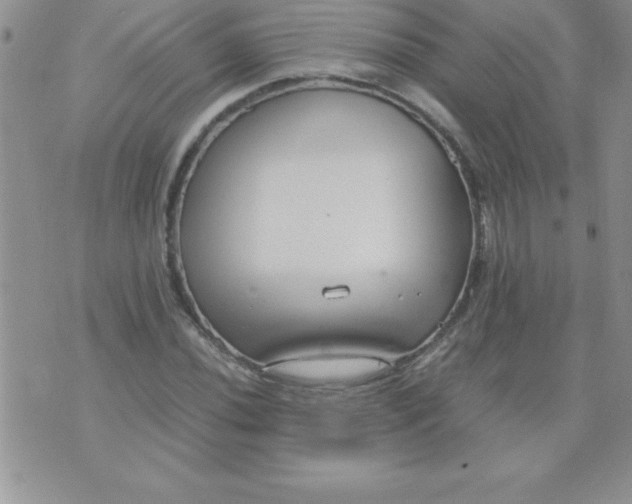 X0000071951020200607282003