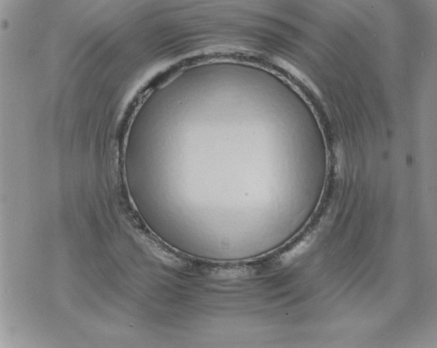 X0000071951021200607282003