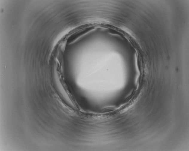 X0000071951022200607282003