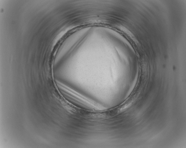 X0000071951023200607282003