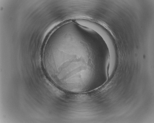 X0000071951024200607282003