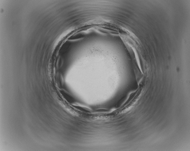 X0000071951026200607282003