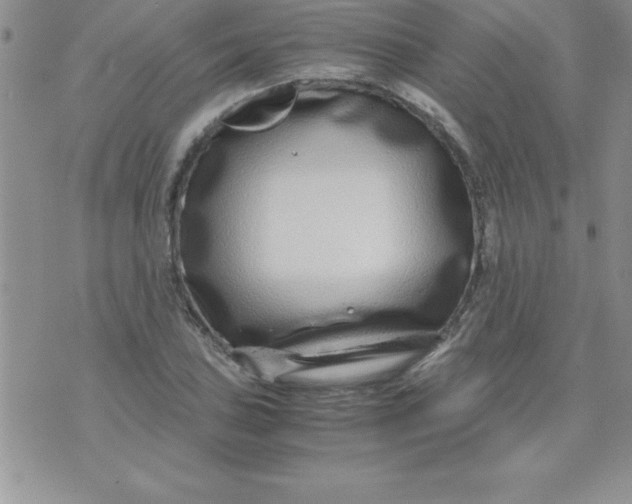 X0000071951027200607282003