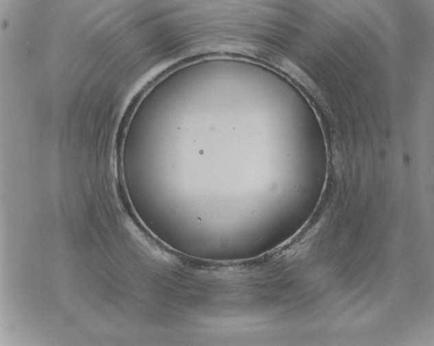 X0000071951028200607282003