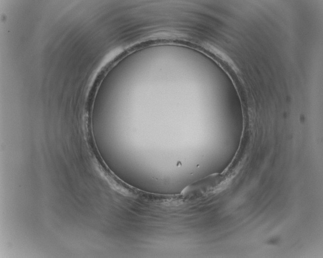 X0000071951029200607282003