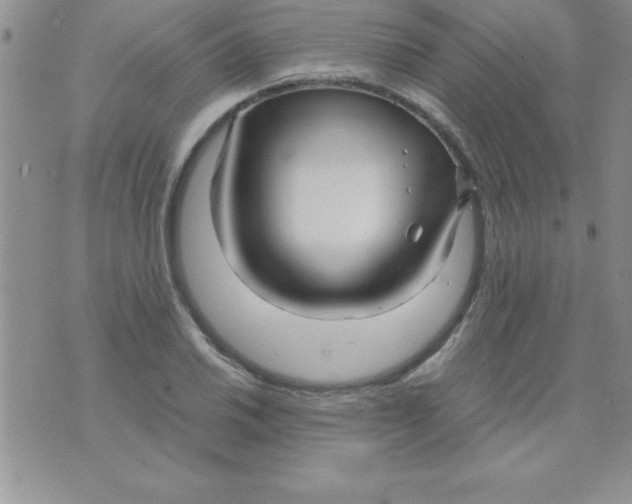 X0000071951030200607282003