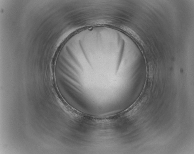 X0000071951031200607282003