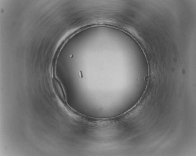 X0000071951032200607282003