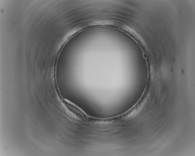 X0000071951033200607282003