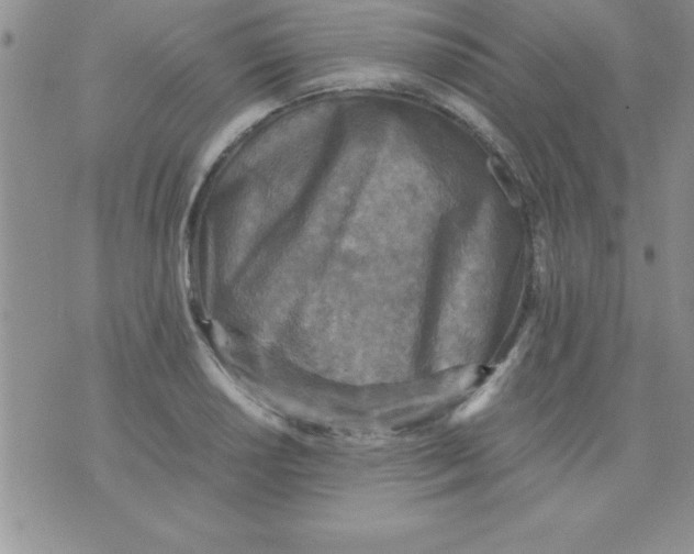 X0000071951034200607282003