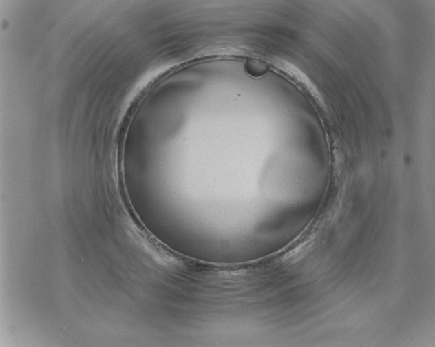 X0000071951035200607282003