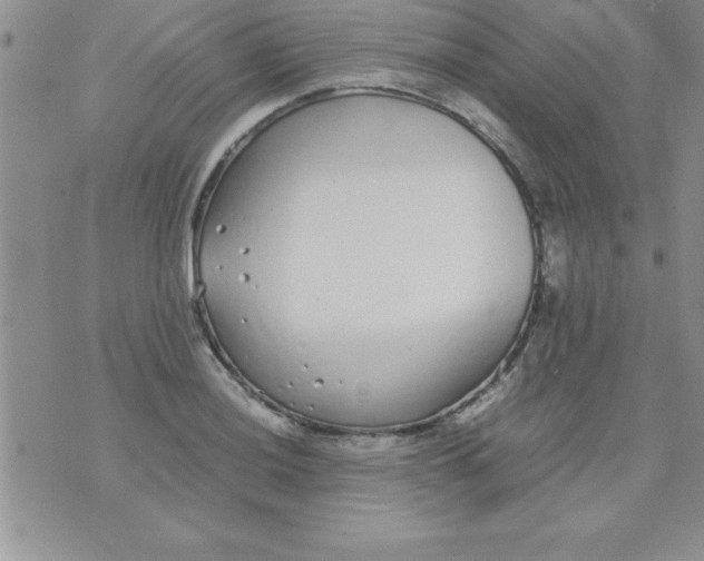 X0000071951036200607282003