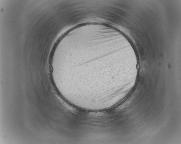 X0000071951037200607282003