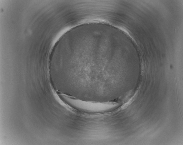 X0000071951038200607282003