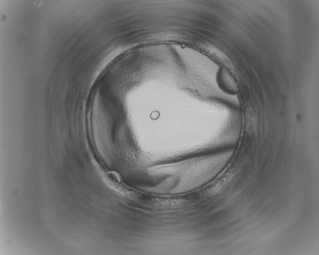 X0000071951039200607282003