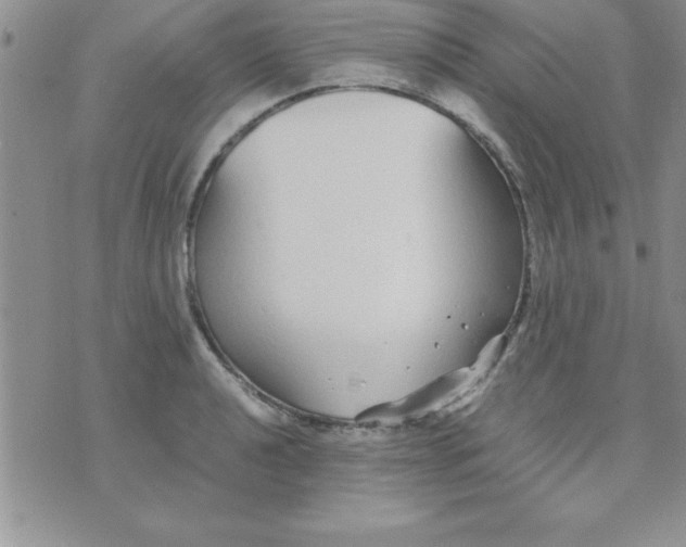 X0000071951040200607282003