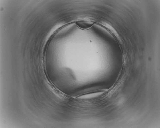 X0000071951043200607282003