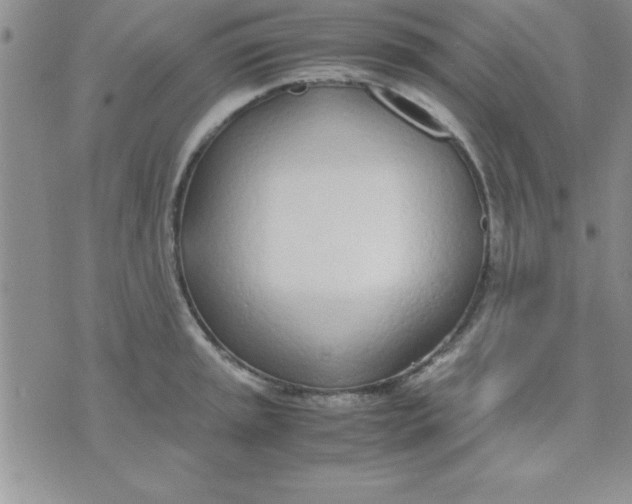 X0000071951045200607282003