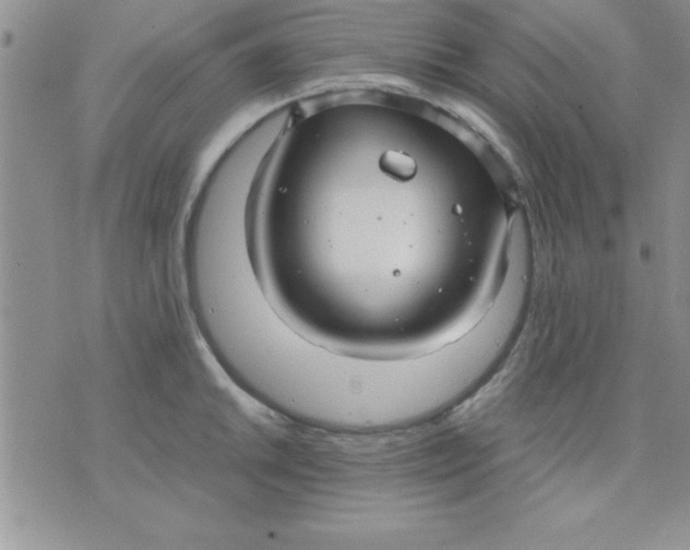 X0000071951046200607282003