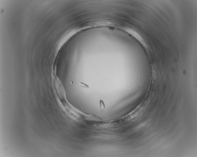 X0000071951047200607282003