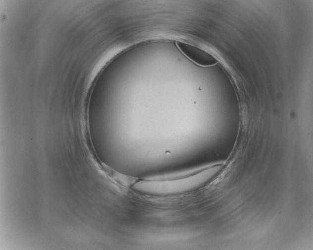 X0000071951048200607282003