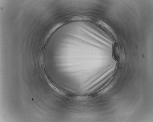 X0000071951049200607282003