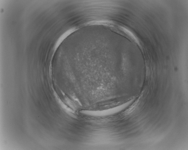 X0000071951050200607282003