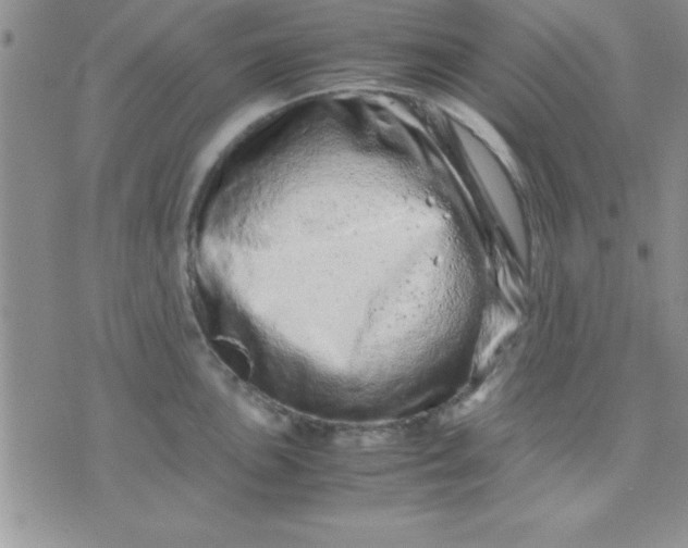 X0000071951051200607282003