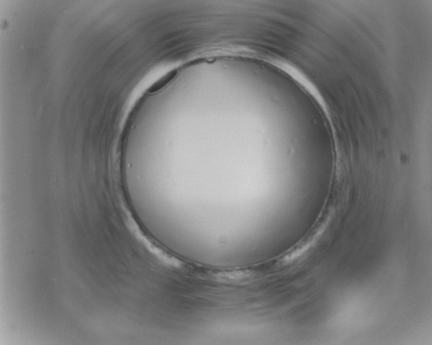 X0000071951053200607282003