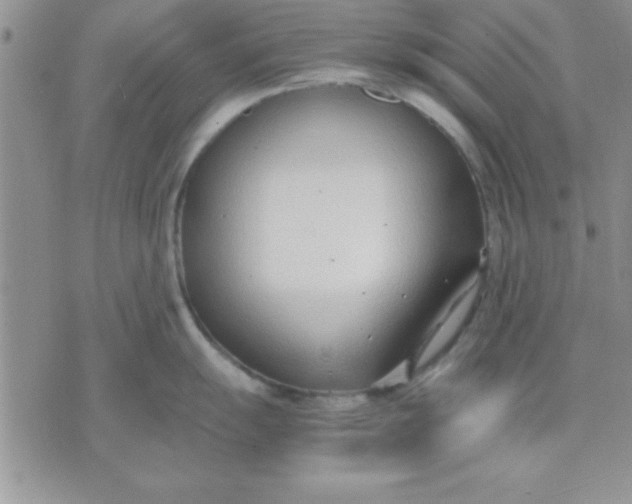 X0000071951055200607282003