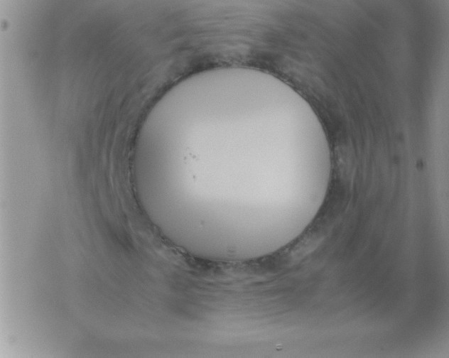 X0000071951057200607282003