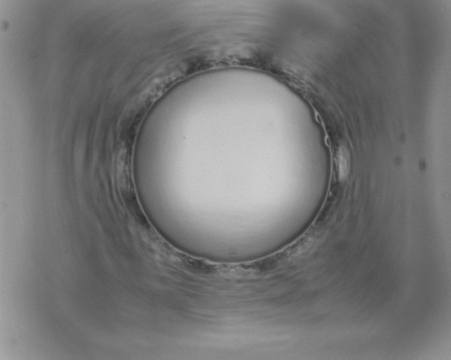 X0000071951059200607282003