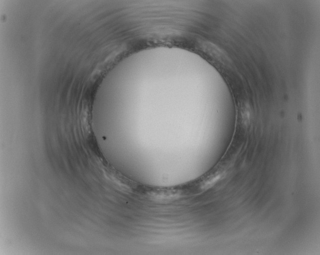 X0000071951060200607282003