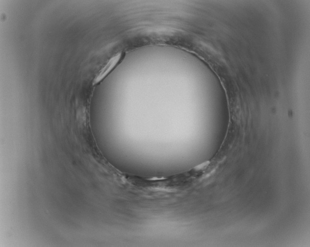 X0000071951061200607282003