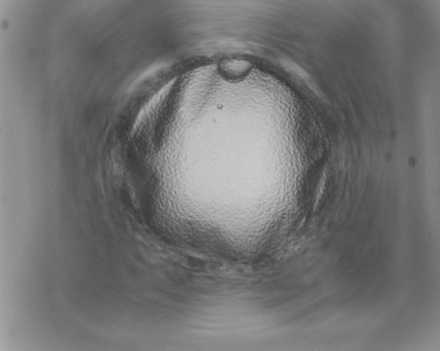 X0000071951063200607282003