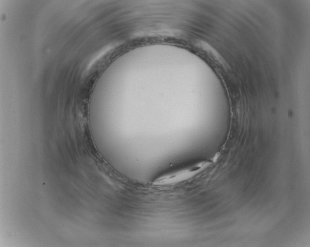 X0000071951064200607282002